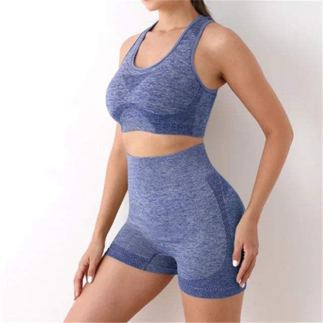 2 Piece Sports Bra + Yoga Shorts