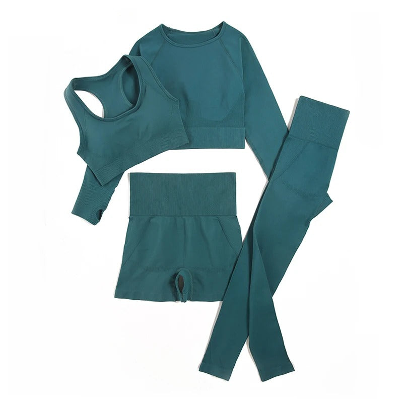 4 Piece Set: Long Sleeve, Sports Bra, Yoga Pants, Yoga Shorts