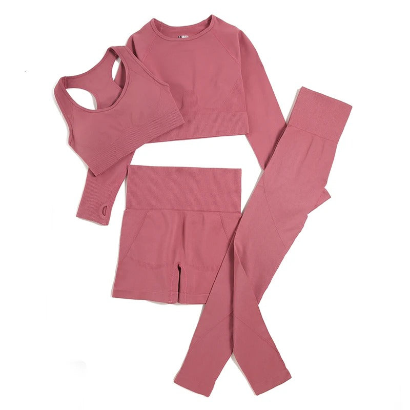 4 Piece Set: Long Sleeve, Sports Bra, Yoga Pants, Yoga Shorts